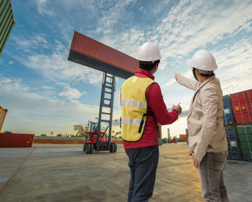 Customs & GST Advisory